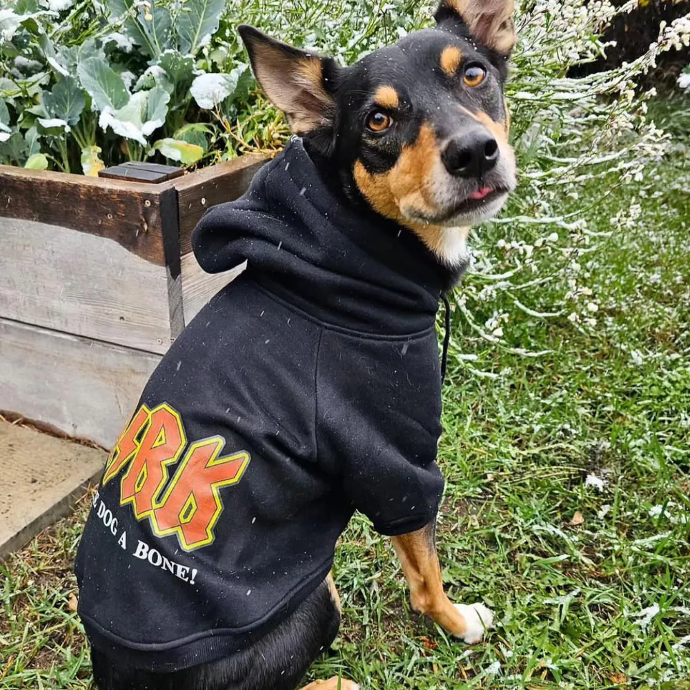 BA⚡️RK -  Band Dog Hoodie