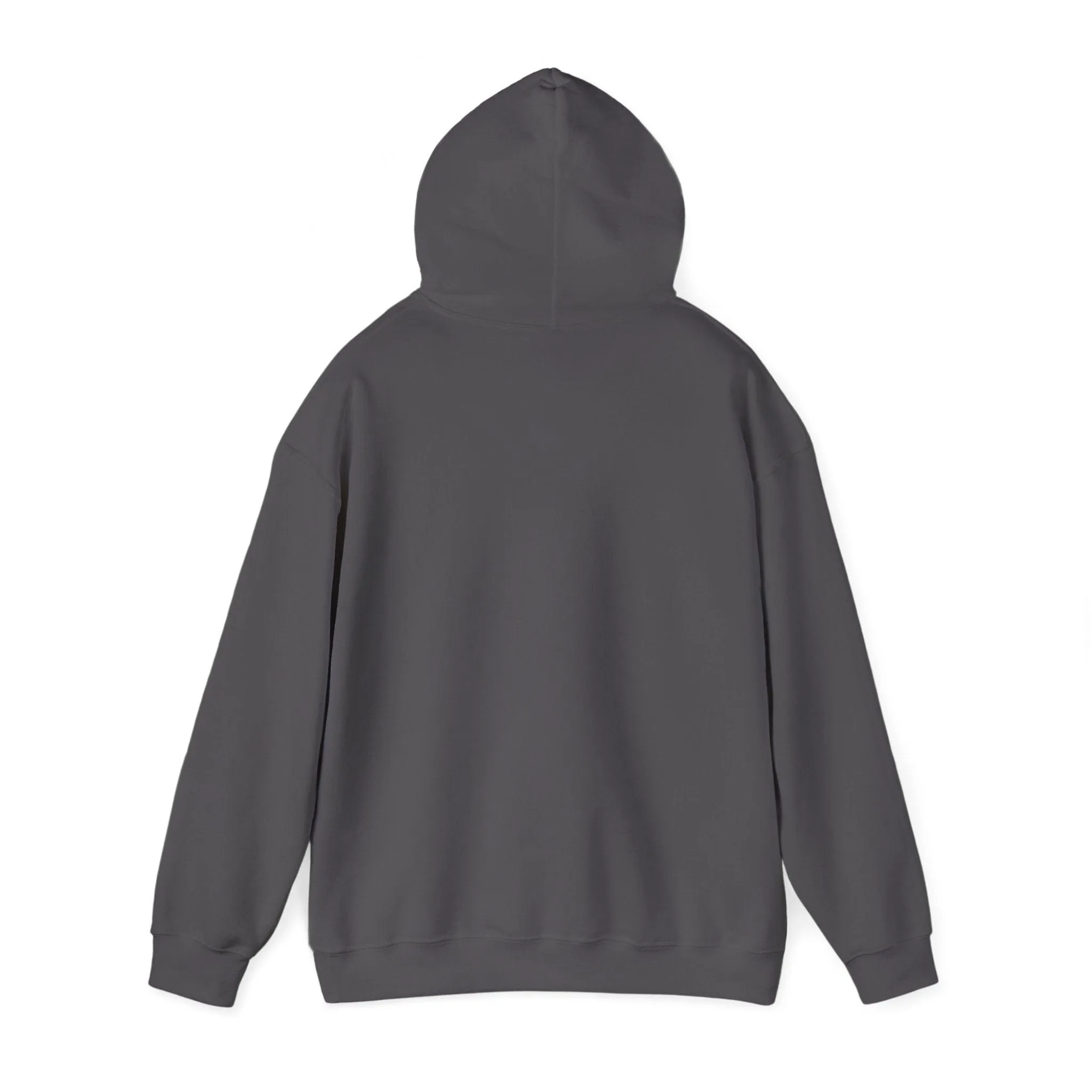 Concert Bliss Unisex Heavy Blend™ Hooded Sweatshirt