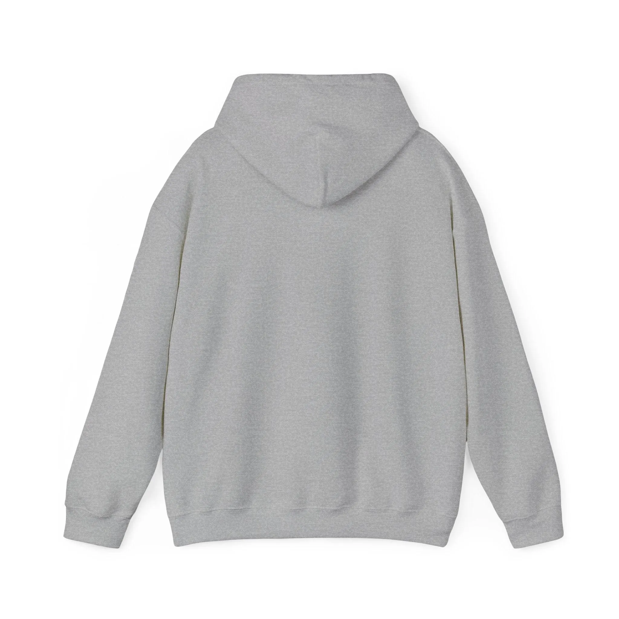 The Guitars Unisex Heavy Blend™ Hooded Sweatshirt