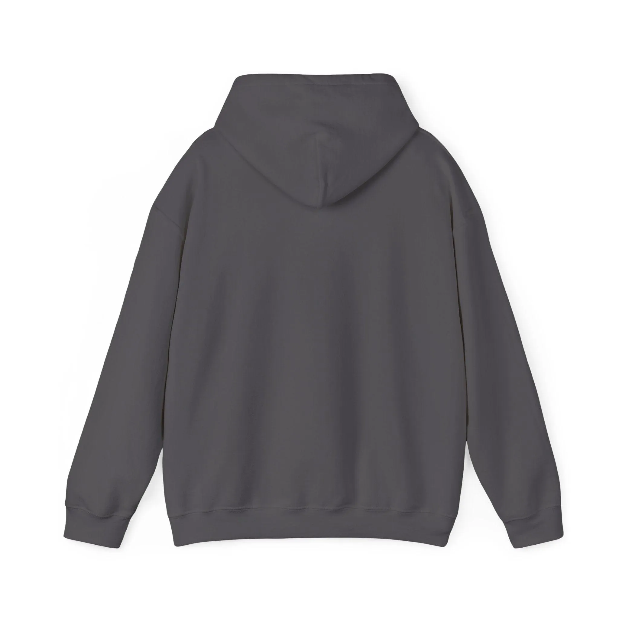 The Guitars Unisex Heavy Blend™ Hooded Sweatshirt