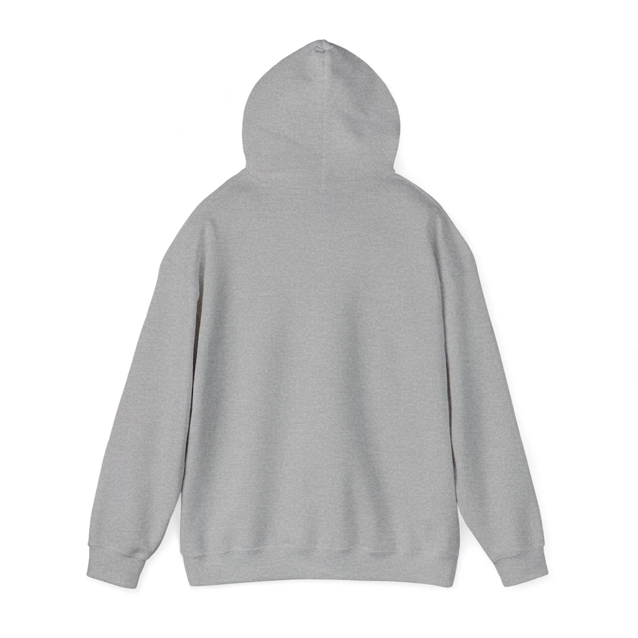The Guitars Unisex Heavy Blend™ Hooded Sweatshirt