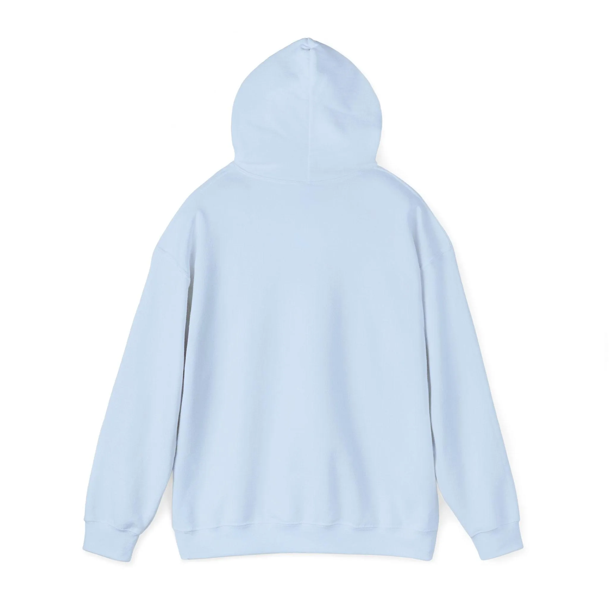 The Guitars Unisex Heavy Blend™ Hooded Sweatshirt